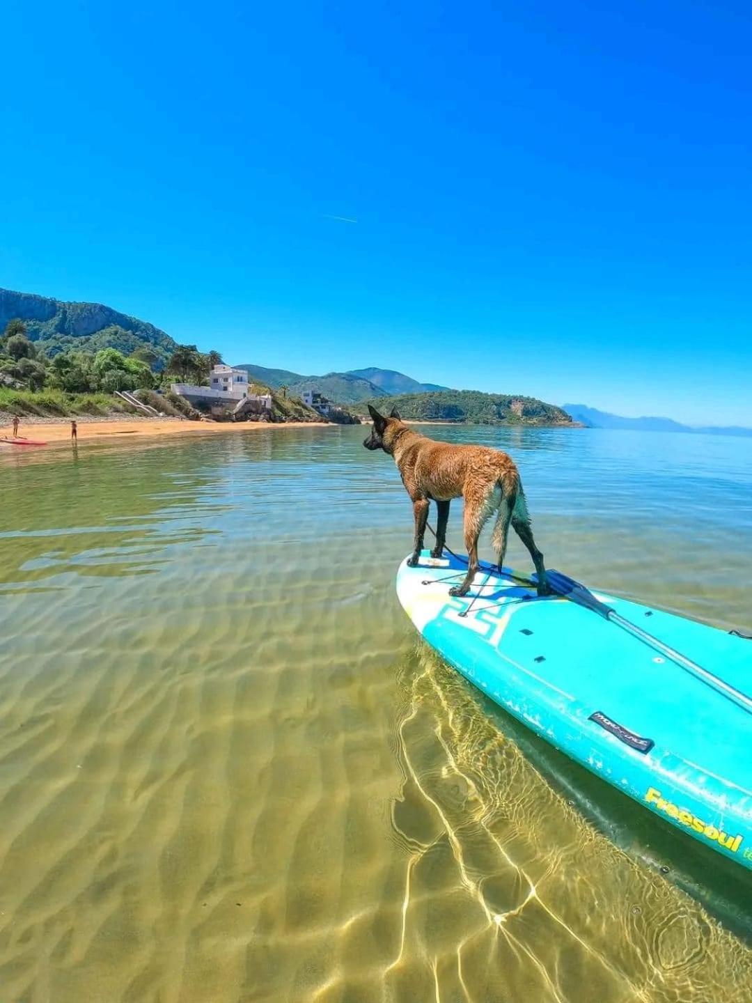 Hotel Plage D'Or Jijel Esterno foto